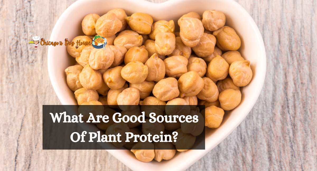 What Are Good Sources Of Plant Protein?